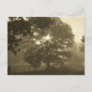 Search for mists postcards Sunrise