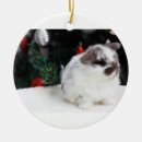 Search for lop rabbit christmas tree decorations Rabbits