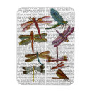 Search for dragonfly magnets Flowers