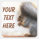 Search for squirrel nuts stickers Animal