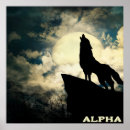 Search for alpha wolf posters Wild