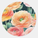 Search for ranunculus stickers Botanical