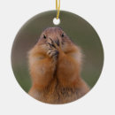 Search for prairie dog christmas tree decorations Animal