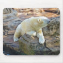 Search for bear mousepads Zoo