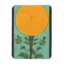 Search for clive magnets Mughal