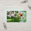 Search for ladybug business cards Insect