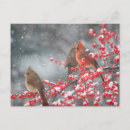 Search for illinois postcards Winter