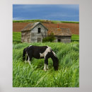 Search for palouse posters Green
