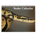 Search for snake calendars Reptile