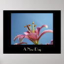 Search for calla art Lilies