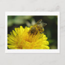 Search for make work postcards Yellow