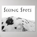 Search for abstract horse art White