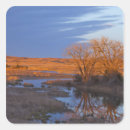 Search for sunset light stickers Landscape