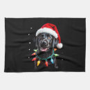 Search for weimaraner tea towels Wolf