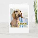 Search for rib cards Cute