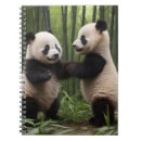 Search for panda notebooks Bamboo