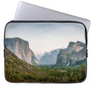 Search for mirrored cases Autumn
