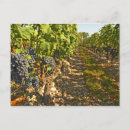 Search for aquitaine postcards Vegetation