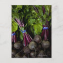 Search for produce postcards Vegetable