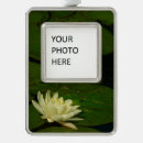 Search for padding christmas tree decorations Nature