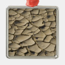 Search for death valley christmas tree decorations Usa