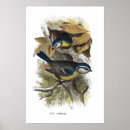 Search for tits art Bird