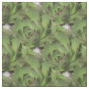 Search for succulent fabric Plants