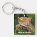Search for geckos key rings Pet