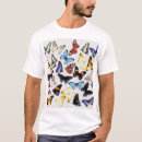 Search for morpho tshirts Illustration