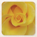 Search for yellow rose coasters Petals
