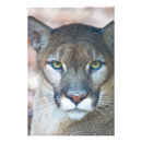 Search for food chain posters Wildlife