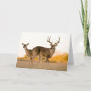 Search for larry cards Texas