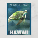 Search for sea turtle art postcards Tropical