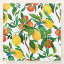 Search for citrus fruit coasters Nature