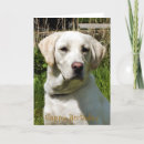 Search for sporting dog cards Animal