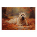Search for wheatens posters Pet