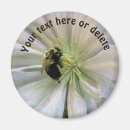 Search for bumble magnets Photography