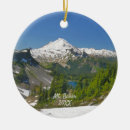 Search for baker christmas tree decorations Washington
