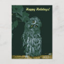 Search for cute owl christmas cards Happy