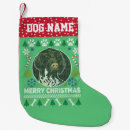 Search for pointer christmas stockings Breed
