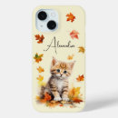 Search for kitten cases Cat lover