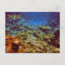 Search for snorkel postcards Reef