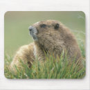 Search for washington state mousepads Olympic np