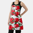 Search for hibiscus aprons Plant
