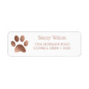 Search for white roses return address labels Chic