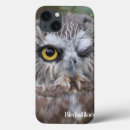 Search for whet Owl