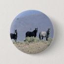 Search for mustangs badges Desert