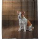 Search for jack russell bath beauty Cute