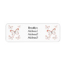 Search for butterfly wings return address labels Insect