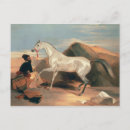 Search for orientalist postcards Horse